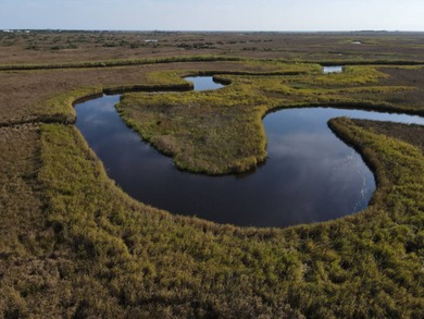 (private lake, pond, coastal) Acreage For Sale in Bay Saint Louis Mississippi