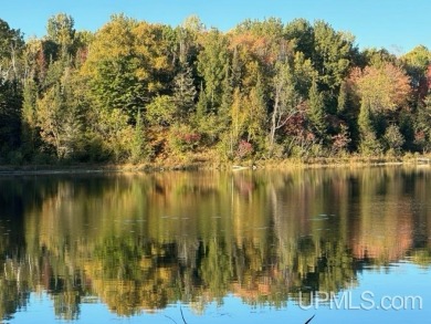 (private lake, pond, creek) Lot For Sale in Crystal Falls Michigan