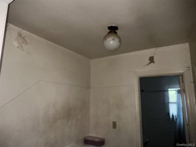 GOOD LOCATION NEED TLC FULL BATH 2 ND FLOOR, 1 ST FLOOR LIV - photo 6