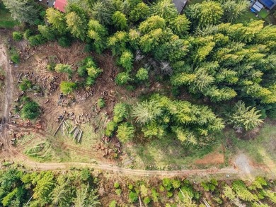 This Noel's Way property offers a rare 2-acre parcel surrounded - photo 2