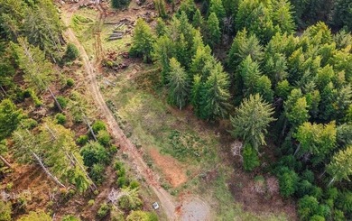 This Noel's Way property offers a rare 2-acre parcel surrounded - photo 3