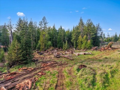 This Noel's Way property offers a rare 2-acre parcel surrounded - photo 6