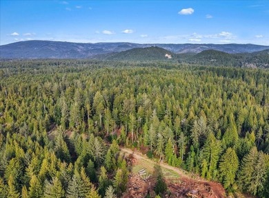 This Noel's Way property offers a rare 2-acre parcel surrounded - photo 8
