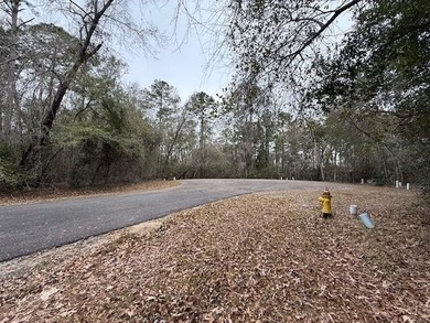 Beautiful gated community very close to the charming town of - photo 1
