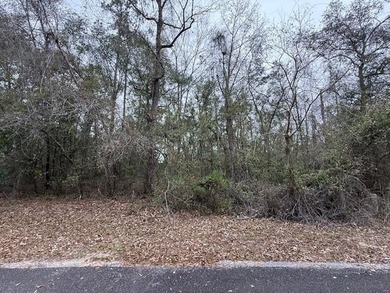 Beautiful gated community very close to the charming town of - photo 3
