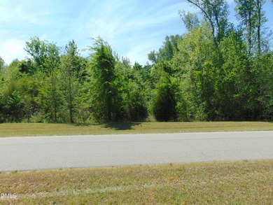 Nice lot for your Lake Side home, includes Boat Slip in - photo 1