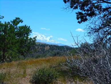 Klamath River Acreage For Sale in Montague California