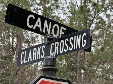 Come see this very quiet and rural subdivision in the heart of - photo 4