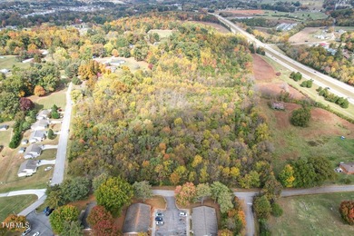 Prime Development Opportunity - Nearly 25 Acres on Hwy 25 with - photo 11