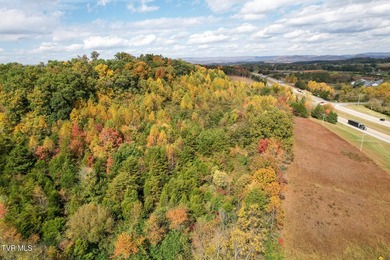 Prime Development Opportunity - Nearly 25 Acres on Hwy 25 with - photo 13