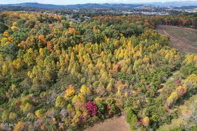 Prime Development Opportunity - Nearly 25 Acres on Hwy 25 with - photo 15