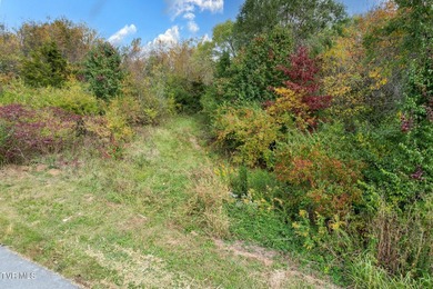 Prime Development Opportunity - Nearly 25 Acres on Hwy 25 with - photo 17