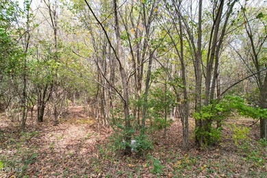 Prime Development Opportunity - Nearly 25 Acres on Hwy 25 with - photo 22