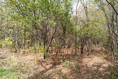 Prime Development Opportunity - Nearly 25 Acres on Hwy 25 with - photo 23