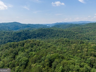 Carters Lake Lot For Sale in Ranger Georgia