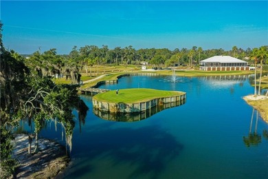 (private lake, pond, coastal) Commercial For Sale in Brunswick Georgia