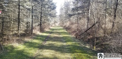 (private lake, pond, coastal) Lot For Sale in Leon New York