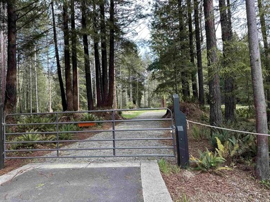 Exceptional Redwood Estate! 8.5 Acres of Refined Privacy Setting - photo 2
