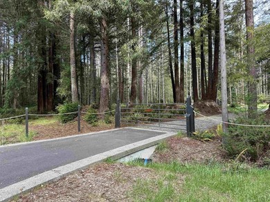 Exceptional Redwood Estate! 8.5 Acres of Refined Privacy Setting - photo 4