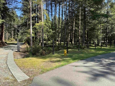 Exceptional Redwood Estate! 8.5 Acres of Refined Privacy Setting - photo 5