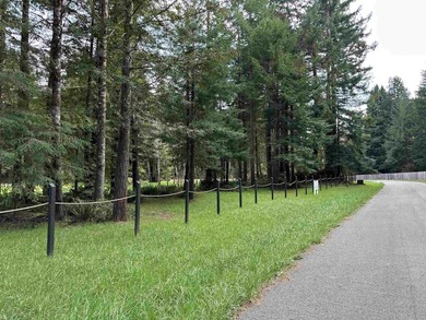 Exceptional Redwood Estate! 8.5 Acres of Refined Privacy Setting - photo 6