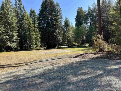 Exceptional Redwood Estate! 8.5 Acres of Refined Privacy Setting - photo 8