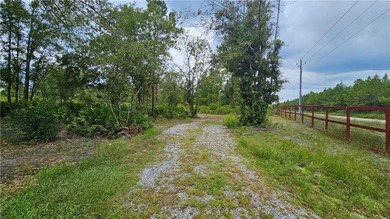 Discover this remarkable 4.73-acre lot offering the perfect - photo 2