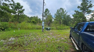 Discover this remarkable 4.73-acre lot offering the perfect - photo 4