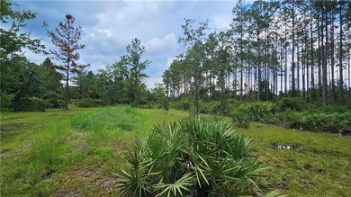 Discover this remarkable 4.73-acre lot offering the perfect - photo 5