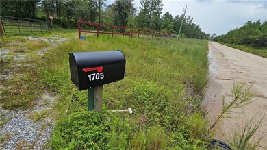 Discover this remarkable 4.73-acre lot offering the perfect - photo 6