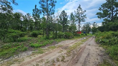 Discover this remarkable 4.73-acre lot offering the perfect - photo 7