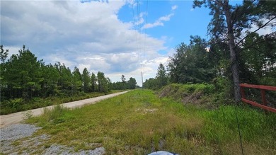 Discover this remarkable 4.73-acre lot offering the perfect - photo 8