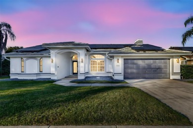 (private lake, pond, coastal) Home For Sale in Safety Harbor Florida