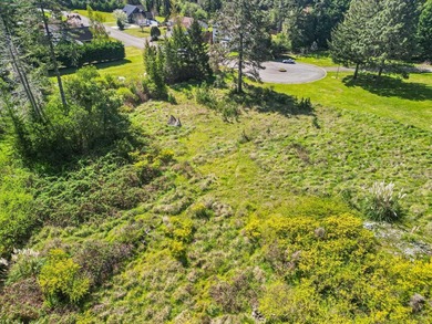 Build your dream home in this desirable gated neighborhood in - photo 4
