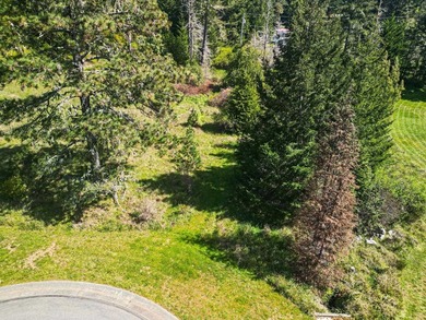 Build your dream home in this desirable gated neighborhood in - photo 8