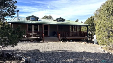Quemado Lake Home For Sale in Quemado New Mexico