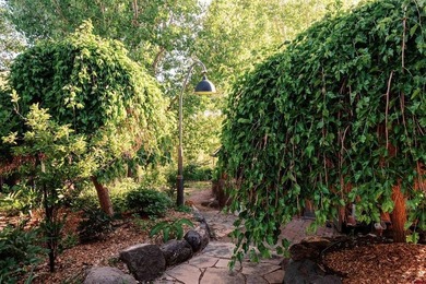Katherine Linehan, Paonia Realty LLC, C:,,: A true sanctuary - photo 26