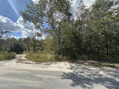 Looking for privacy and peace? Look no further!! Come discover - photo 1