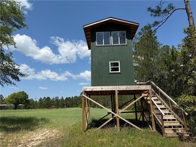 (private lake, pond, coastal) Acreage For Sale in Nahunta Georgia