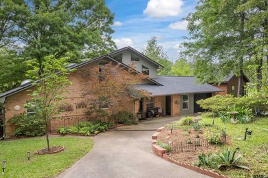 Absolutely Adorable Waterfront Cottage on Lake Cypress Springs! - photo 38