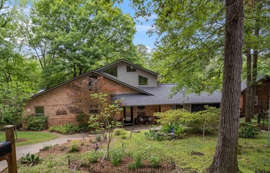 Absolutely Adorable Waterfront Cottage on Lake Cypress Springs! - photo 40