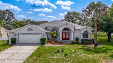 This well-maintained saltwater pool home sits on a spacious .38 - photo 1