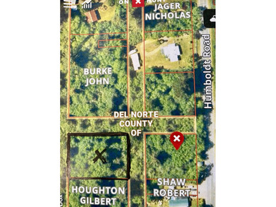 Undeveloped nearly 3/4 acre property with abundance of trees. It - photo 3