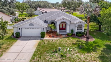 This well-maintained saltwater pool home sits on a spacious .38 - photo 3
