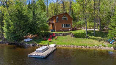 Serene and private lakefront escape on Lake Abanakee - photo 1