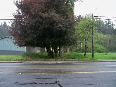This property is located on Elk Valley Road and is ideal for a - photo 1