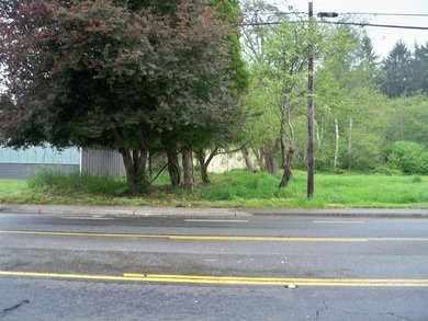 This property is located on Elk Valley Road and is ideal for a - photo 3