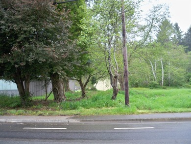This property is located on Elk Valley Road and is ideal for a - photo 4