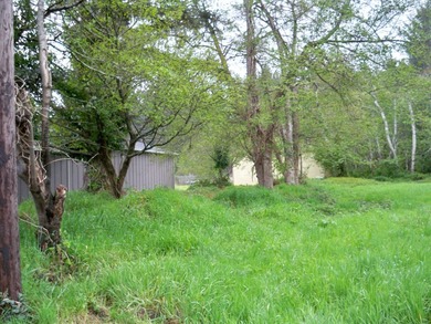 This property is located on Elk Valley Road and is ideal for a - photo 5
