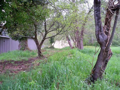This property is located on Elk Valley Road and is ideal for a - photo 6